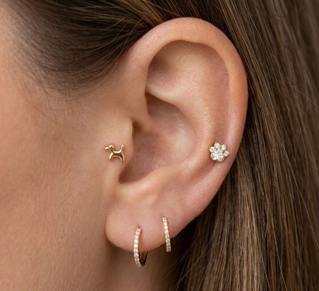 Salvatori Paris 4-Piece Titanium Dog Piercing Set