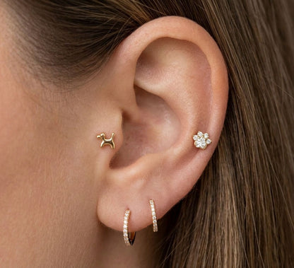 Salvatori Paris 4-Piece Titanium Dog Piercing Set