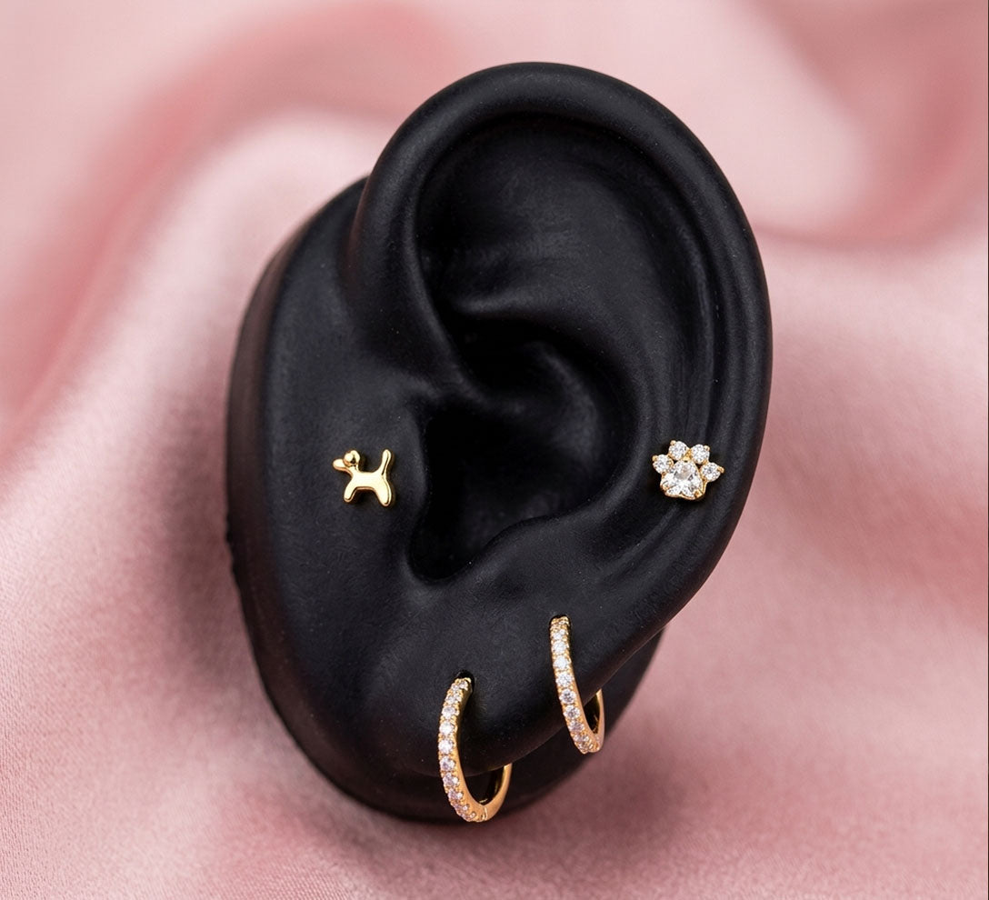Salvatori Paris 4-Piece Titanium Dog Piercing Set