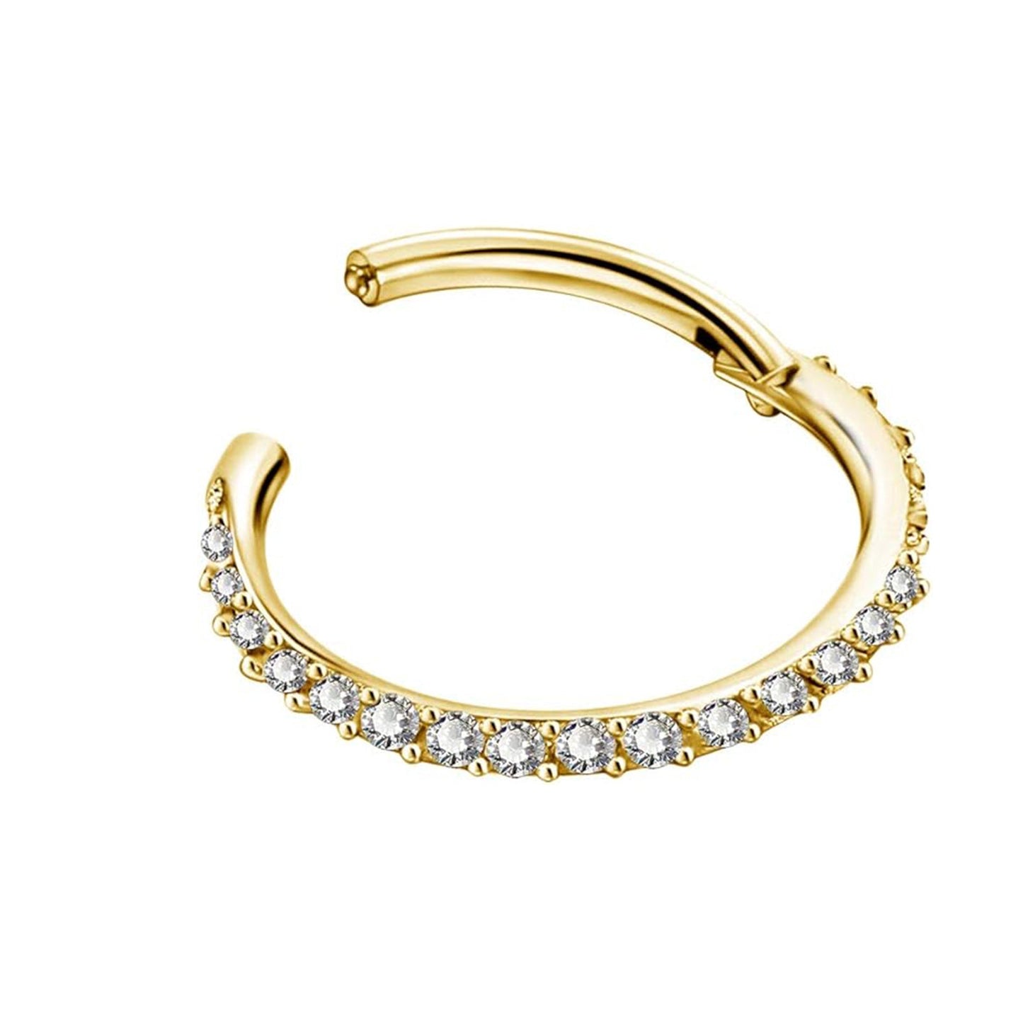 Salvatori Paris Crystal Hinged Segment Rook Piercing