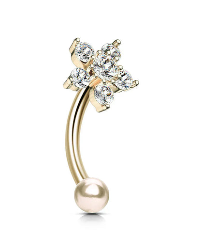 Salvatori Paris Flower Clicker Rook Piercing and Hoop